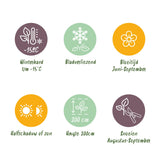 Hortensia / Hydrangea macrophylla Pink - Bloem Roze - 1 Plant -  Bladverliezend - Weinig Onderhoud - Pot 17cm Hoogte 30cm