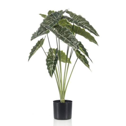 Alocasia 80cm - Kunstplant