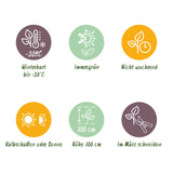 Green boutiQ - Haagplanten - Taxus media Hilii - blad groen - 6 planten - 1 strekkende meter - groenblijvend - pot 17cm hoogte 60cm