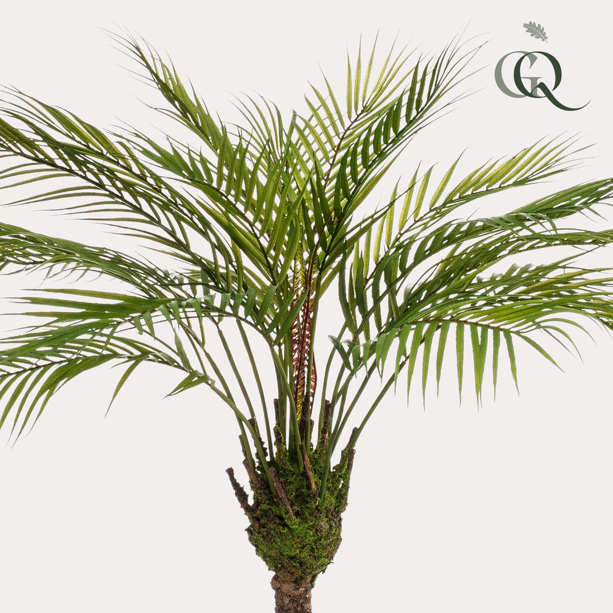 Kunstplant - Chamaedorea - Palmier de montagne - 85 cm