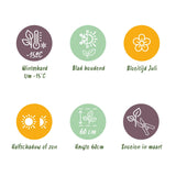 Green boutiQ - Siergrassen - Carex comans Frosted Curls - Groen - 2 Planten - Bladhoudend - Weinig Onderhoud - Pot 17cm Hoogte 50cm