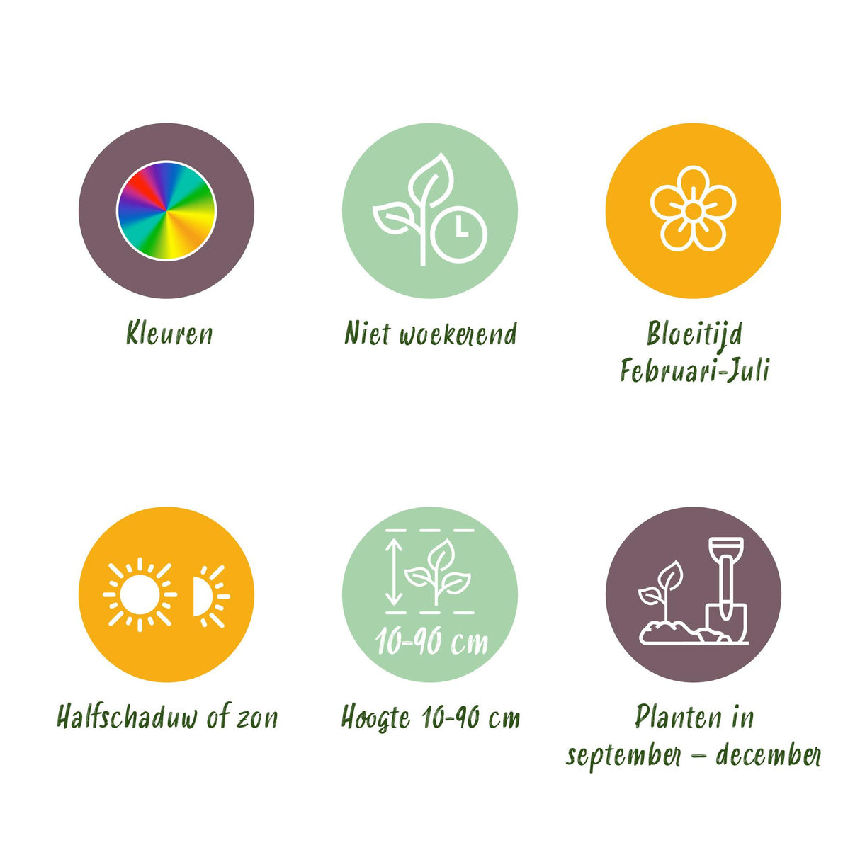 Green boutiQ - Bloembollen - Bulb Garden Pink mix - Diversen soorten - Kleur Roze - 125 stuks - Gift Verpakking