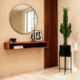 Green boutiQ - Kamerplant - Euphorbia eritrea - Afrikaanse melkboom - Weinig onderhoud - Groen - 2 - Pot 19cm - Hoogte 70cm