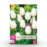 Green boutiQ - Bloembollen - Tulp Triumph White - Kleur Wit - 15 stuks - Bolmaat 11/12 - XXL Pack