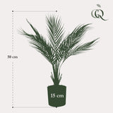 Kunstplant - Chamaedorea - Bergpalm - 50 cm