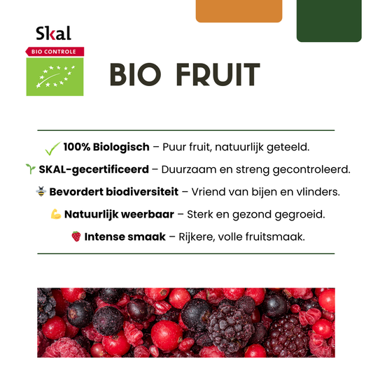 3 x Biologische kiwiplanten - ↕20 cm - Ø 13 cm