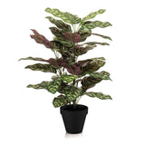 Calathea in pot - 65 cm hoog - Kunstplant