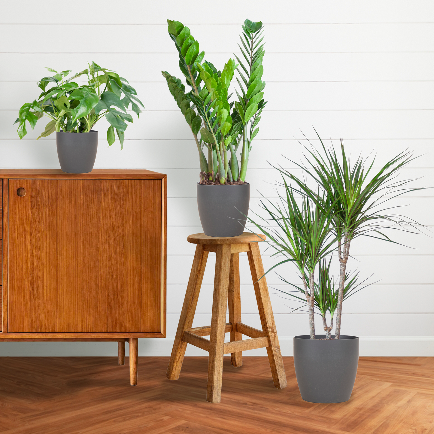 Schaduw Plantenset - incl. potten grijs