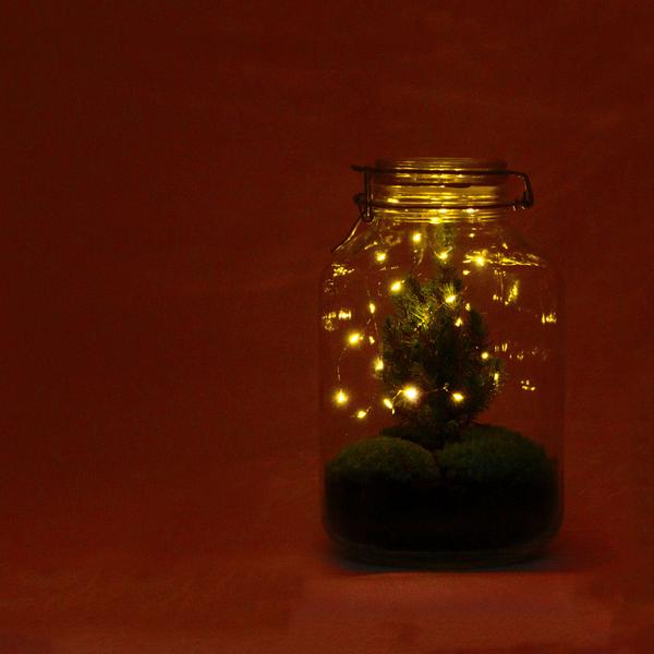 DIY - Kerst terrarium ↕28cm  -  Ø18cm
