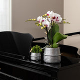 Kolibri Home | Groove Blumentopf - Goldener Keramik-Dekotopf - Ø12cm