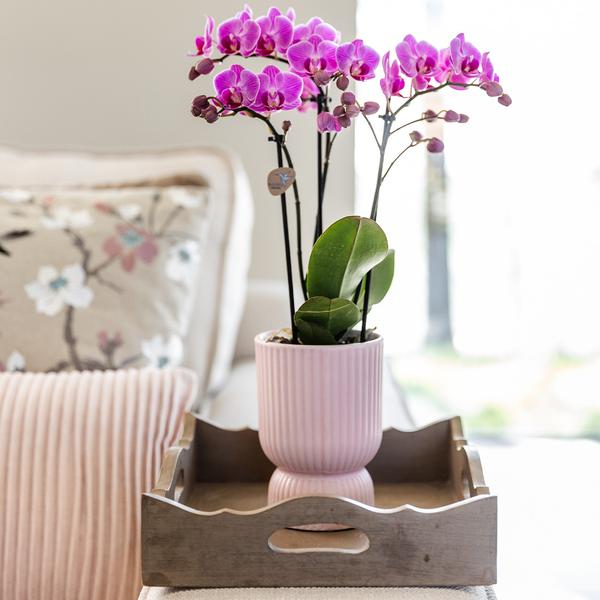 Kolibri Home | Pot diabolo rose - Ø12cm