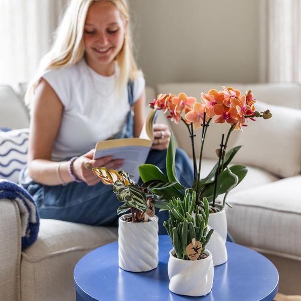 Candy sierpot - Wit - Ø6cm