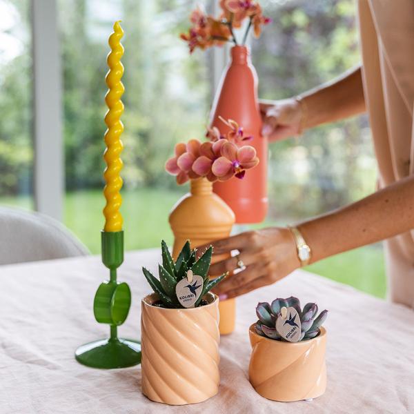 Kolibri Home | Candy Zierpot | Hoch - Pfirsich - Ø6cm
