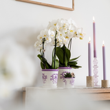 Malaga pot - Lilac - Ø12cm