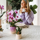 Gradience sierpot - Pink - Ø9cm