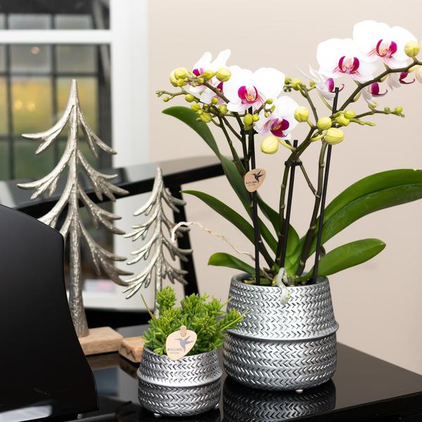 Kolibri Home | Groove Blumentopf - Goldener Keramik-Dekotopf - Ø12cm
