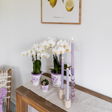 Malaga pot - Lilac - Ø12cm