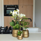 Kolibri Home | Groove Blumentopf - Goldener Keramik-Dekotopf - Topfgröße - Ø12cm