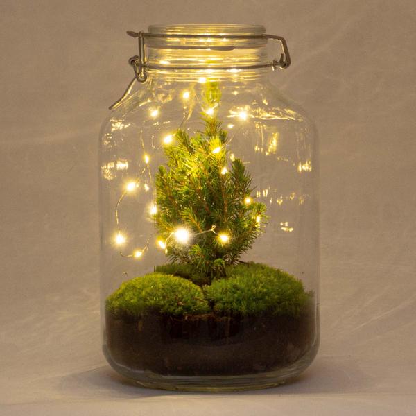 DIY - Kerst terrarium ↕28cm  -  Ø18cm