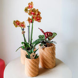 Kolibri Home | Candy Zierpot | Hoch - Pfirsich - Ø6cm