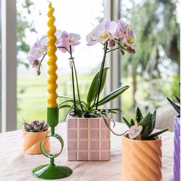 Kolibri Home | Candy Zierpot | Hoch - Pfirsich - Ø6cm