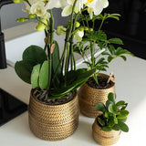 Kolibri Home | Groove Blumentopf - Goldener Keramik-Dekotopf - Topfgröße - Ø12cm