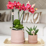 Bali sierpot  - Sand - Ø9cm