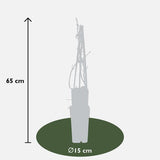 Hydrangea petiolaris - Klimhortensia - ↕65cm - Ø15cm