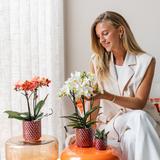 Diamond pearl sierpot - Rood - Ø6cm