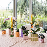 Kolibri Home | Candy Zierpot | Hoch - Pfirsich - Ø6cm