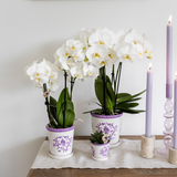 Malaga pot - Lilac - Ø12cm