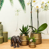 Kolibri Home | Groove Blumentopf - Goldener Keramik-Dekotopf - Topfgröße - Ø12cm