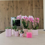 Kolibri Home | Candy Zierpot | Hoch - Pink - Ø6cm