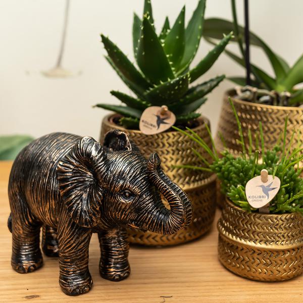 Kolibri Home | Groove Blumentopf - Goldener Keramik-Dekotopf - Topfgröße - Ø12cm