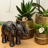 Kolibri Home | Groove Blumentopf - Goldener Keramik-Dekotopf - Topfgröße - Ø12cm