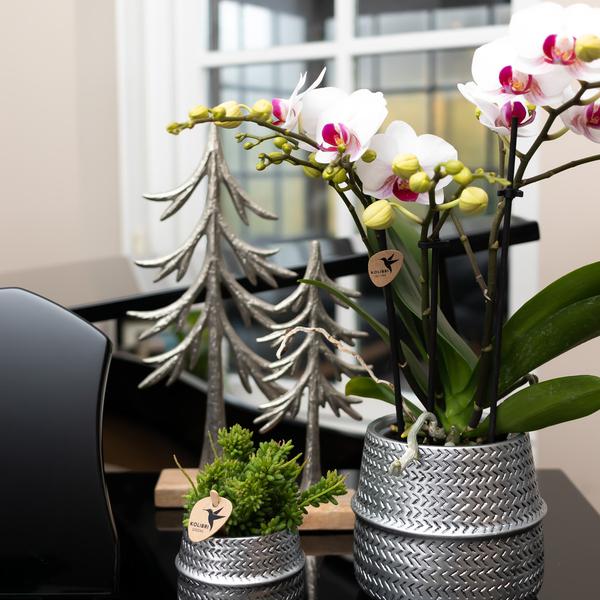 Kolibri Home | Groove Blumentopf - Goldener Keramik-Dekotopf - Ø12cm