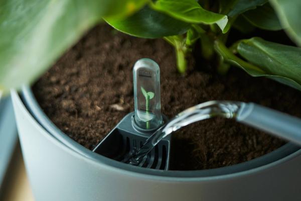 Self Watering Insert - Ø21cm