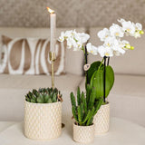 Kolibri Home | Diamond pearl sierpot - Travertine - Ø6cm