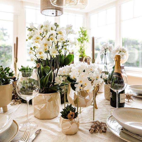 Pearl pot - Travertine - Ø12cm