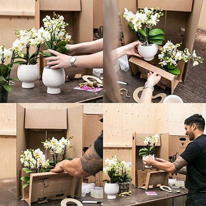 Gift set Optimism small peach | Groene plant met oranje Phalaenopsis orchidee in Candy sierpotten op wit organisch dienblad