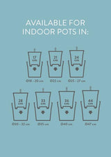 Self Watering Insert - Ø21cm