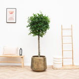 Pot Indigo Vintage - Goud - Ø33